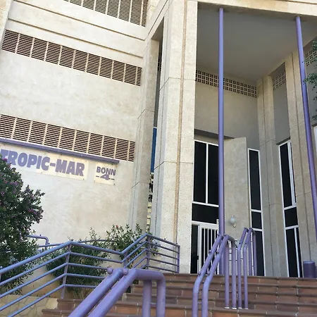 ホテル Tropic Mar ベニドルム